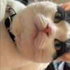 angie_teef
